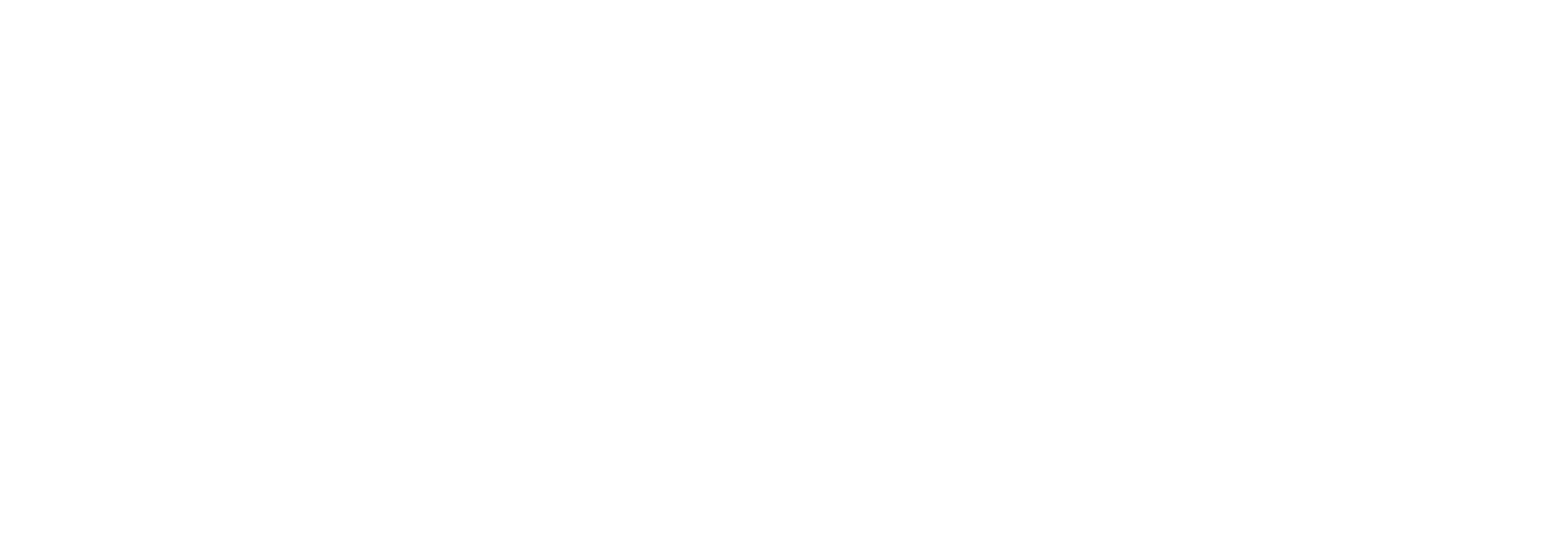 Logo Agnes Lepp